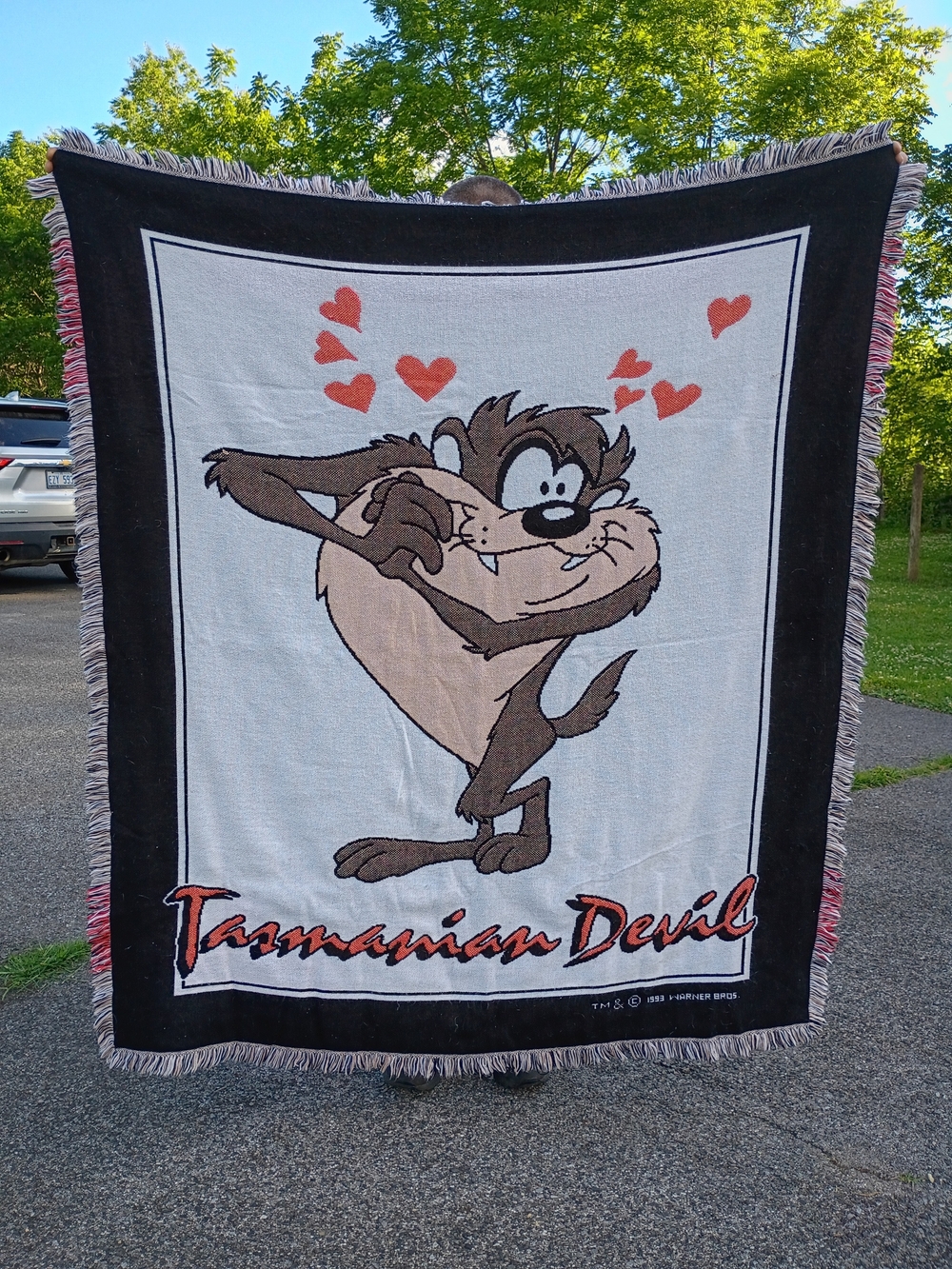 Tasmanian Devil Taz Looney Tunes 1993 Warner Bros. Woven Throw Tapestry Blanket